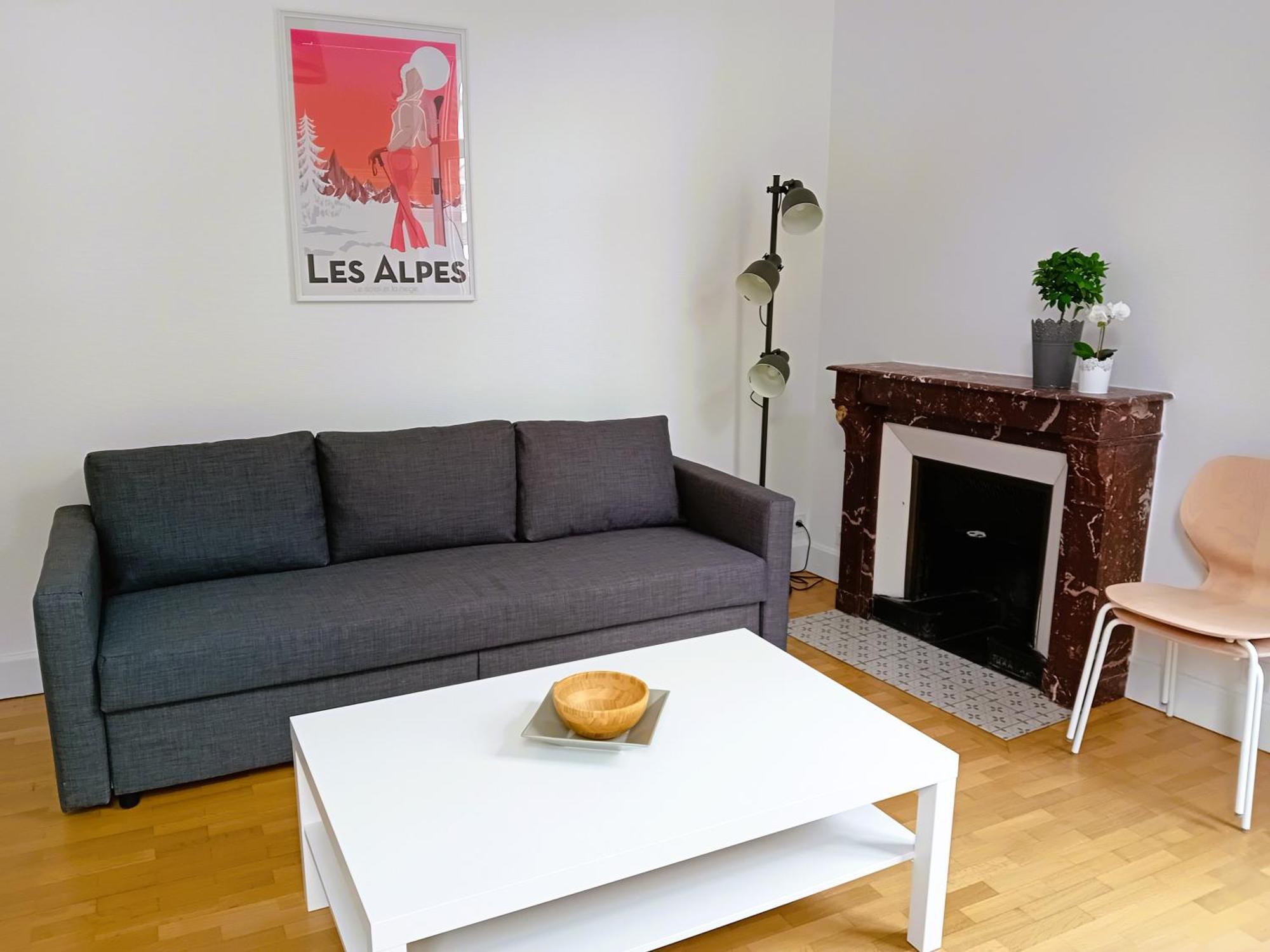102 - Appart Renove Avec Grand Salon Et 1 Chambre - Tram Et Clinique Mutualiste A 1 Min Гренобль Экстерьер фото