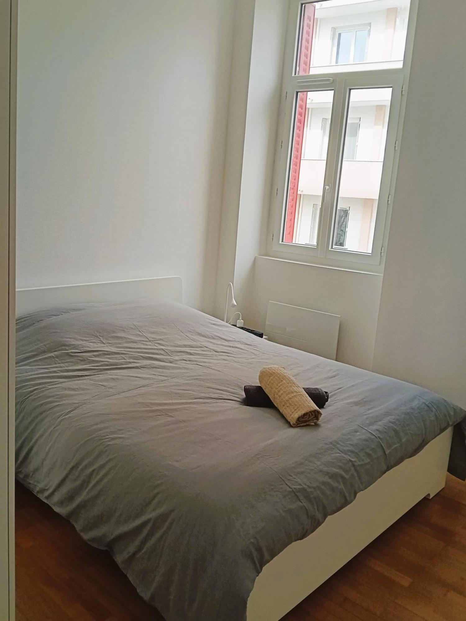 102 - Appart Renove Avec Grand Salon Et 1 Chambre - Tram Et Clinique Mutualiste A 1 Min Гренобль Экстерьер фото